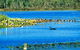 Hasties Swamp National Park - thumb 0