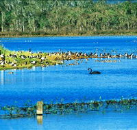 Hasties Swamp National Park - Accommodation Sunshine Coast