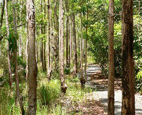 Hallorans Hill Conservation Park - Accommodation Sunshine Coast 0