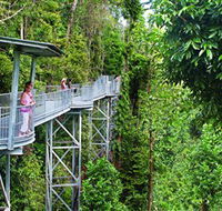 Mamu Tropical Skywalk - Accommodation Sunshine Coast