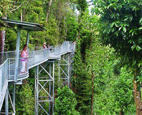 Mamu Tropical Skywalk - Accommodation Sunshine Coast 0