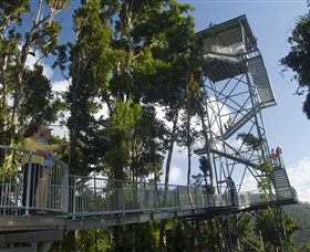 Mamu Tropical Skywalk - Accommodation Sunshine Coast 1