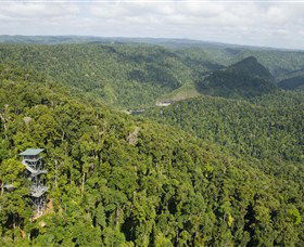 Mamu Tropical Skywalk - Accommodation Sunshine Coast 3