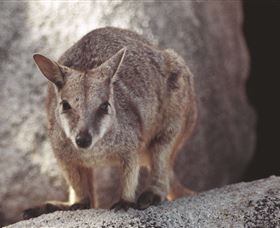 Arcadia At Magnetic Island - Accommodation Sunshine Coast 2
