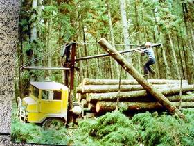 Nangwarry Forestry And Logging Museum - Accommodation Sunshine Coast 3