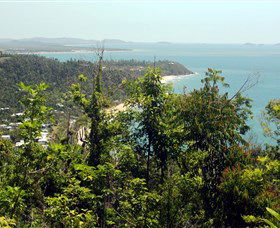 Clump Mountain National Park - Accommodation Sunshine Coast 1