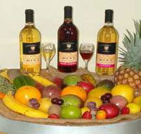de Brueys Boutique Wines and Functions Venue - Accommodation Sunshine Coast
