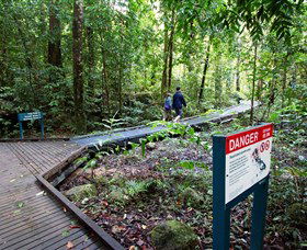 Josephine Falls, Wooroonooran National Park - Accommodation Sunshine Coast 2