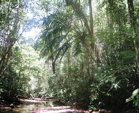 Mount Lewis National Park - Accommodation Sunshine Coast 0