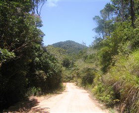 Mount Lewis National Park - Accommodation Sunshine Coast 2