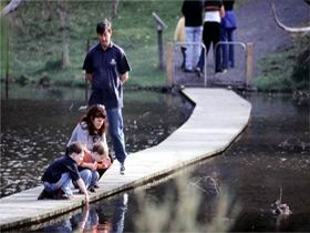 Valley Lake Conservation Park - Accommodation Sunshine Coast 2