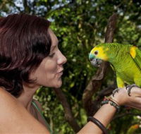 Birdworld Kuranda - Accommodation Sunshine Coast