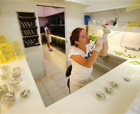 Australian Butterfly Sanctuary - Accommodation Sunshine Coast 2