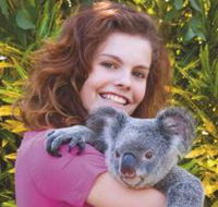 Kuranda Koala Gardens - Accommodation Sunshine Coast