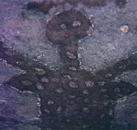 Quinkan Reserves Ancient Rock Art - Accommodation Sunshine Coast