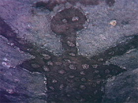 Quinkan Reserves Ancient Rock Art - Accommodation Sunshine Coast 0