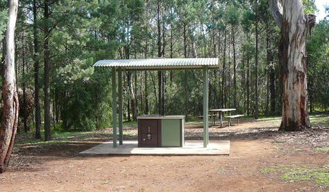 Jacks Creek Walking Track - Accommodation Sunshine Coast 1