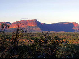 Blackdown Tableland National Park - Accommodation Sunshine Coast 0