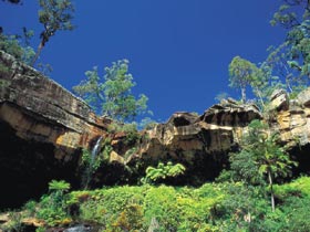 Blackdown Tableland National Park - Accommodation Sunshine Coast 1