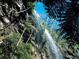 Blackdown Tableland National Park - Accommodation Sunshine Coast 2