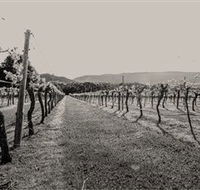 Halls Gap Estate - Accommodation Sunshine Coast
