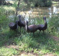 East Tolans Farm Tour - Accommodation Sunshine Coast