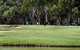 Deniliquin Golf Club - thumb 0