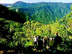 Eungella National Park - Accommodation Sunshine Coast 3