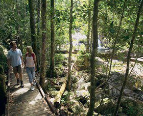 Eungella National Park - Accommodation Sunshine Coast 2