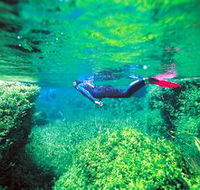 Piccaninnie Ponds Conservation Park - Accommodation Sunshine Coast
