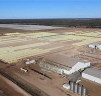 Southern Cotton Gin - Accommodation Sunshine Coast