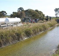 Cornalla Farm Tour - Accommodation Sunshine Coast