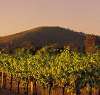 Taltarni Vineyards - Accommodation Sunshine Coast