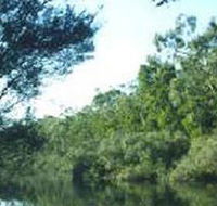 Crawford River Regional Park - Accommodation Sunshine Coast