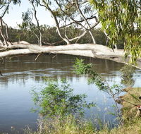 Murray Valley National Park - Accommodation Sunshine Coast