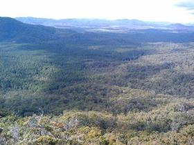Mia Mia State Forest - Accommodation Sunshine Coast 1
