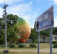 Big Mango - Accommodation Sunshine Coast