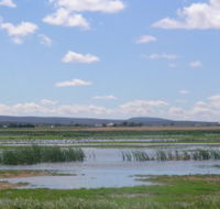 Fivebough Wetlands - Accommodation Sunshine Coast