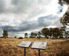 Backroads Trail - Accommodation Sunshine Coast 2