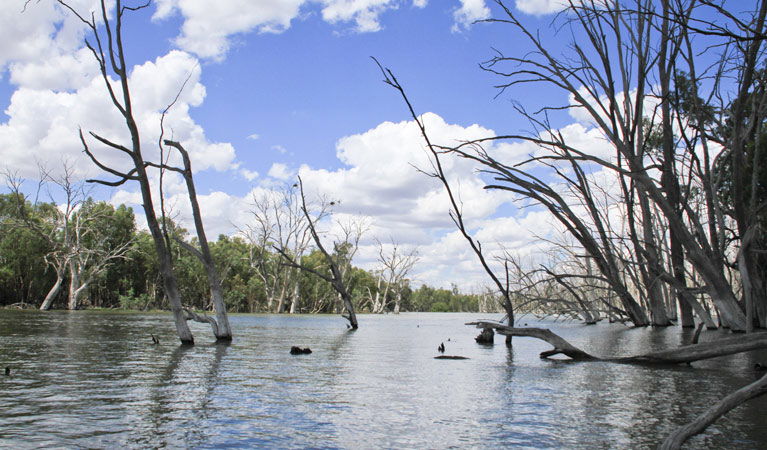 Bundure NSW Accommodation Sunshine Coast