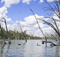 Murrumbidgee Valley National Park - Accommodation Sunshine Coast