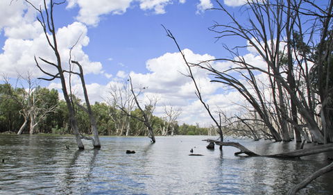 Murrumbidgee Valley National Park - Accommodation Sunshine Coast 0