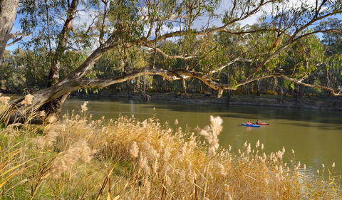 Murrumbidgee Valley National Park - Accommodation Sunshine Coast 3