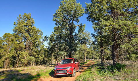 Forest Drive - Accommodation Sunshine Coast 0