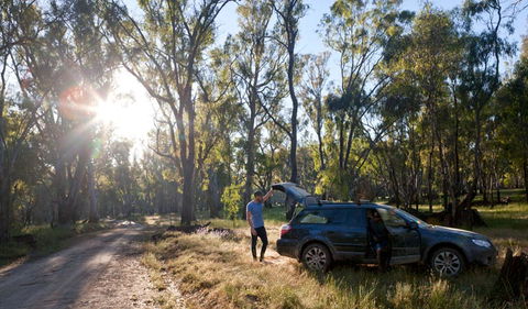 Forest Drive - Accommodation Sunshine Coast 1