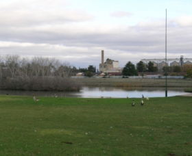 McCaughey Bicentennial Park - Accommodation Sunshine Coast 1