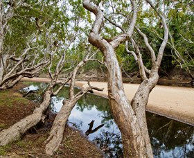 Oyala Thumotang National Park (CYPAL) - Accommodation Sunshine Coast 0