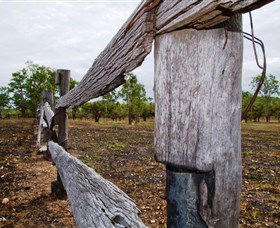 Oyala Thumotang National Park (CYPAL) - Accommodation Sunshine Coast 1