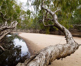 Oyala Thumotang National Park (CYPAL) - Accommodation Sunshine Coast 3