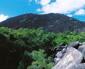 Black Mountain (Kalkajaka) National Park - Accommodation Sunshine Coast 0